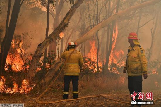 当地时间2019年12月10日，澳大利亚悉尼，新南威尔士州大火持续蔓延，悉尼上空烟雾弥漫，消防队员持续救援，以保护居民区免受森林大火的侵袭。