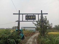白泽湖乡：做活水文章，生态农业