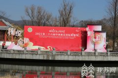花海如潮 南京国际梅花节今天开幕