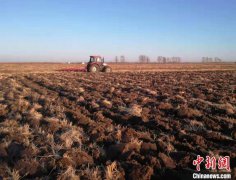 黑龙江省旱田已耕种 5500万亩以上