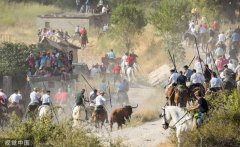 西班牙奔牛节本年伤亡人数破纪录